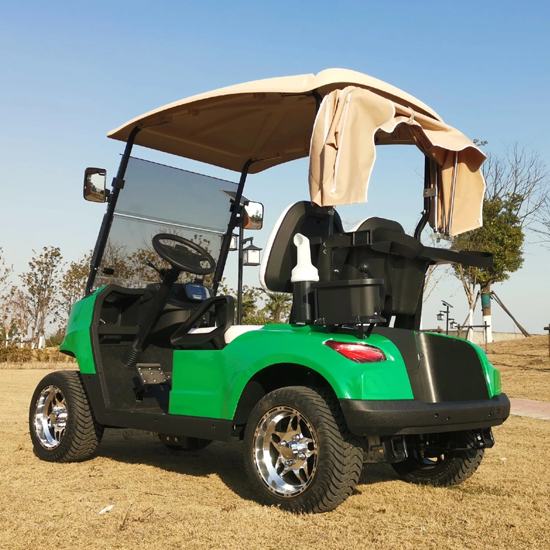 CE Approved 2 Seat Battery Powered Electric Aluminum Golf Cart and Controller